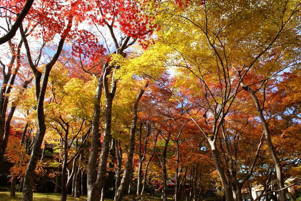 ホテル ゆとりろ庵 Annex 箱根町 エクステリア 写真