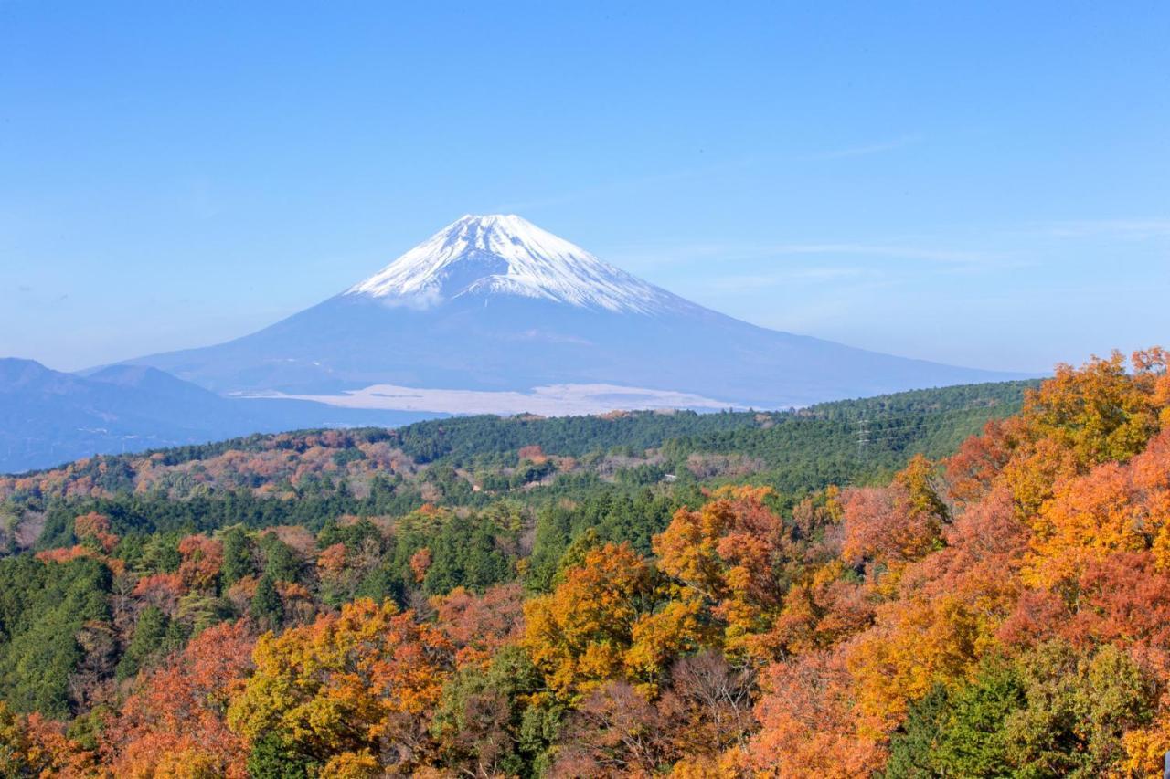ホテル ゆとりろ庵 Annex 箱根町 エクステリア 写真